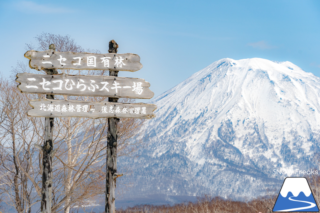 ニセコ東急 グラン・ヒラフ｜４月中旬にして、未だ標高差約900ｍのダウンヒル＆ロングラン滑走が可能！楽しい春を満喫しましょう♪